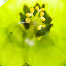 攻击网站服务器